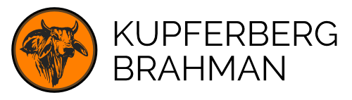 Logo of Kupferberg Brahman