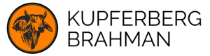 Logo of Kupferberg Brahman